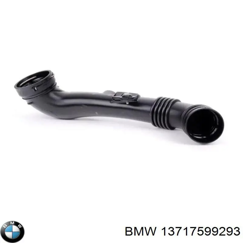 13717599293 BMW 