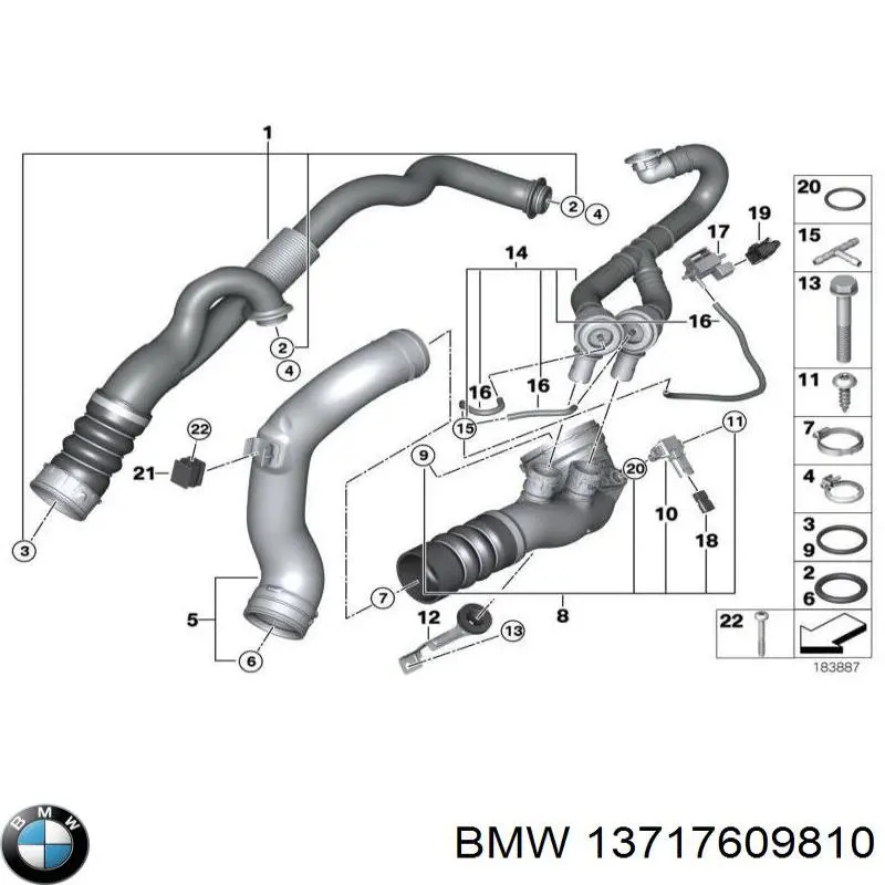 13717609810 BMW mangueira (cano derivado esquerda de intercooler)