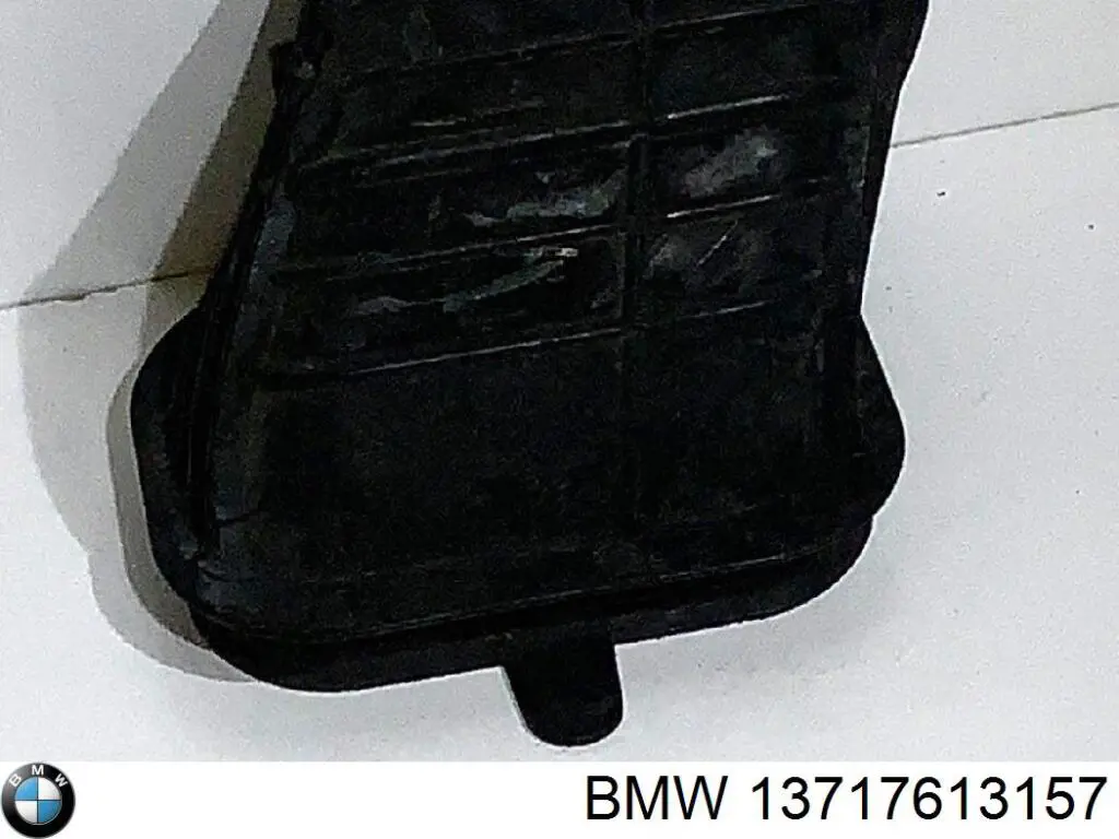 Купить 13717613157 BMW Воздухозаборник воздушного фильтра
