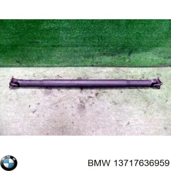 Купить 13717636959 BMW Прокладка крышки маслозаливной горловины