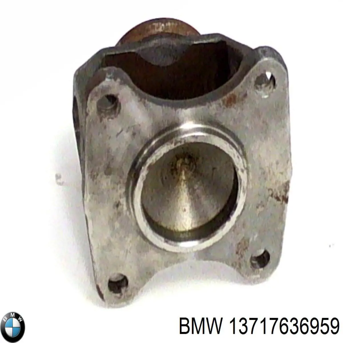 Прокладка крышки маслозаливной горловины 13717636959 BMW