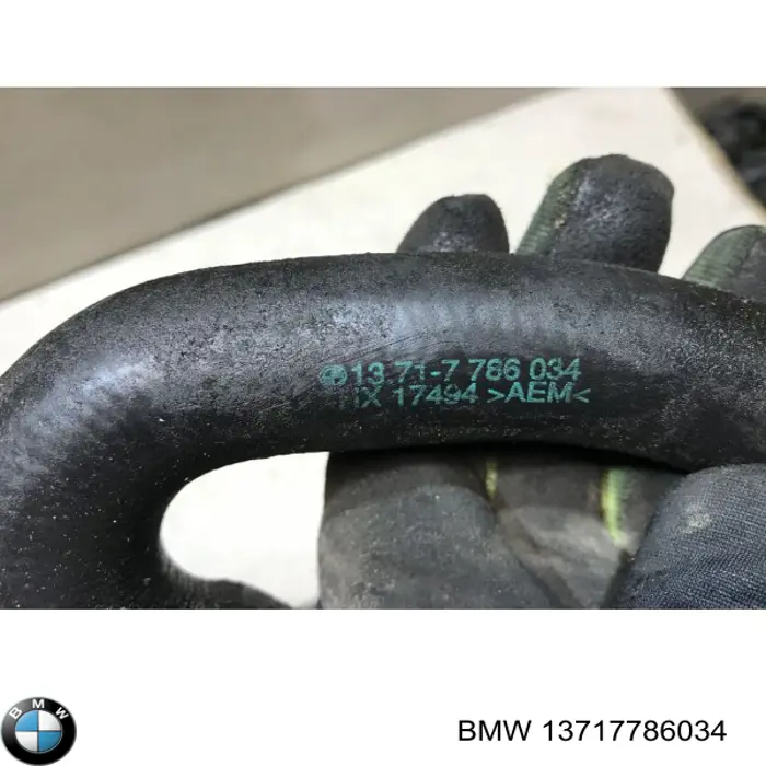 Купить 13717786034 BMW Шланг (патрубок) обогрева дроссельной заслонки