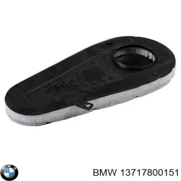 13717800151 BMW filtro de ar