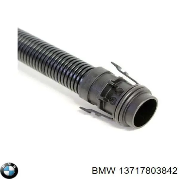 13717803842 BMW