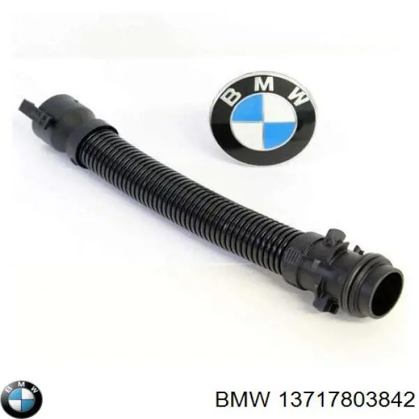 13717803842 BMW