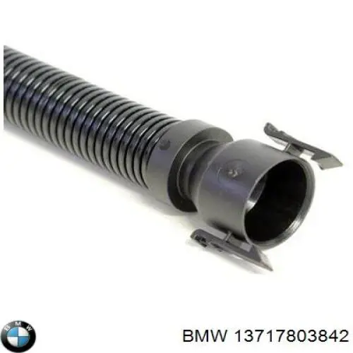 13717803842 BMW Шланг для удаления воздуха