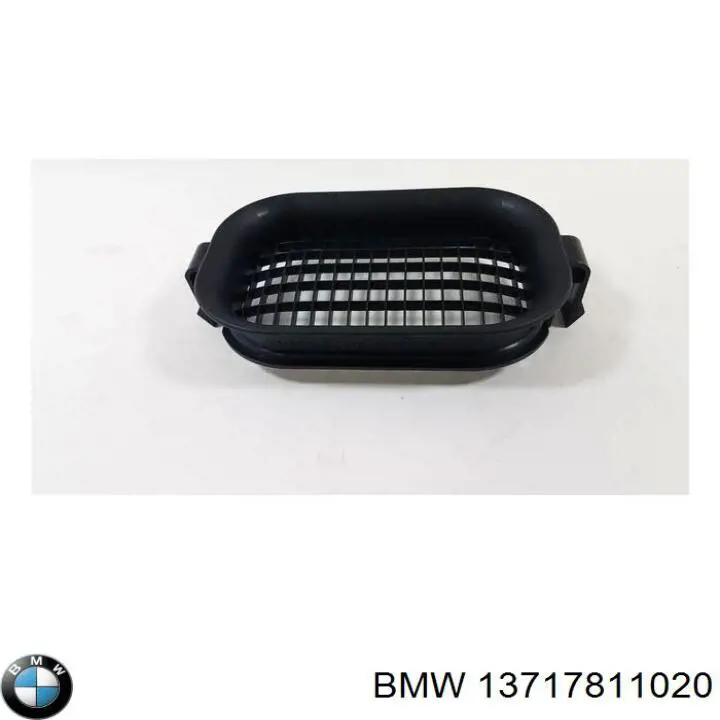 13717811020 BMW 