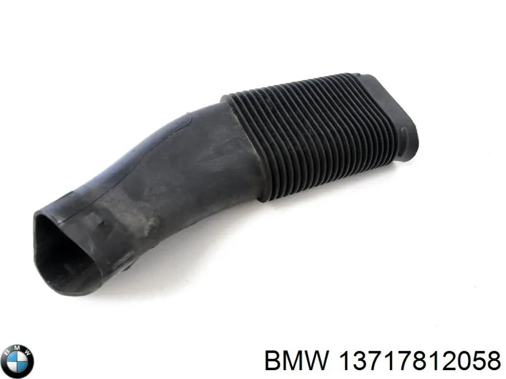 Воздухозаборник воздушного фильтра на BMW X5 (E70) купить.
