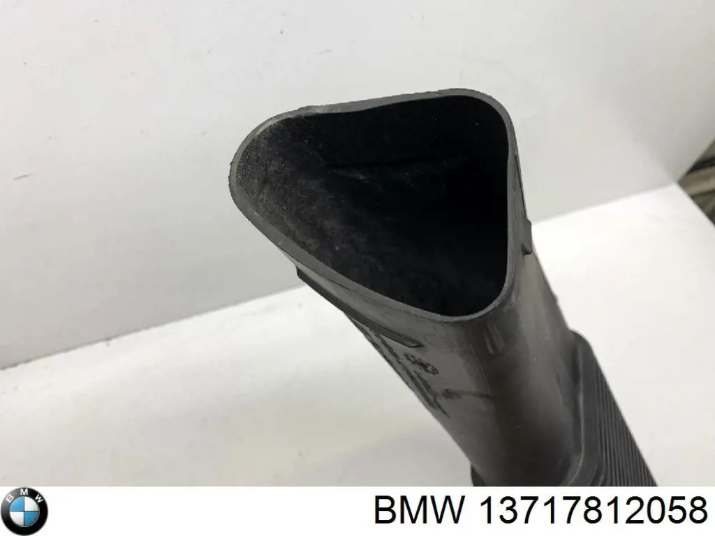 Воздухозаборник BMW 13717812059
