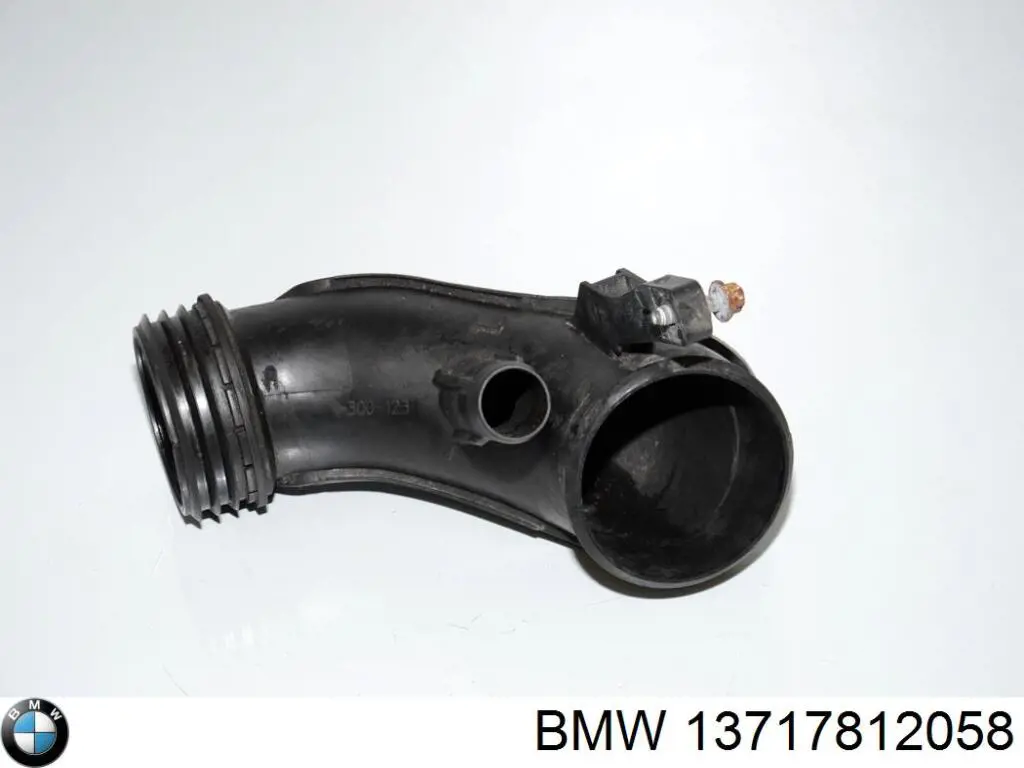 Воздухозаборник воздушного фильтра BMW 13717812059 цена, от 20.27 USD