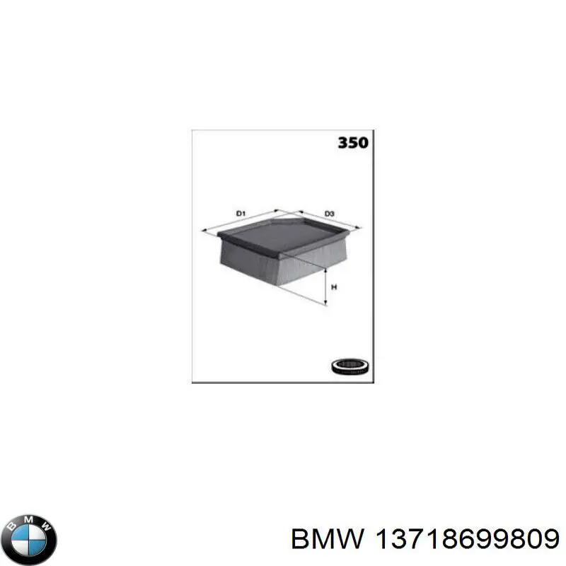 13718699809 BMW Воздушный фильтр двигателя