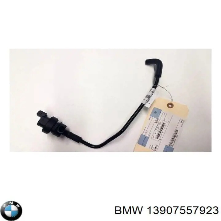 13907557923 BMW 