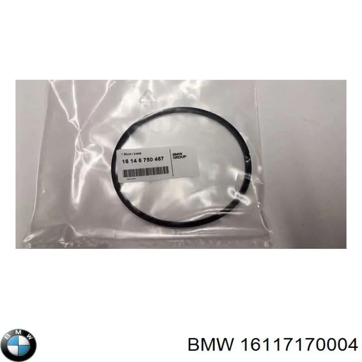 Модуль топливного насоса с датчиком уровня топлива BMW 16117170004
