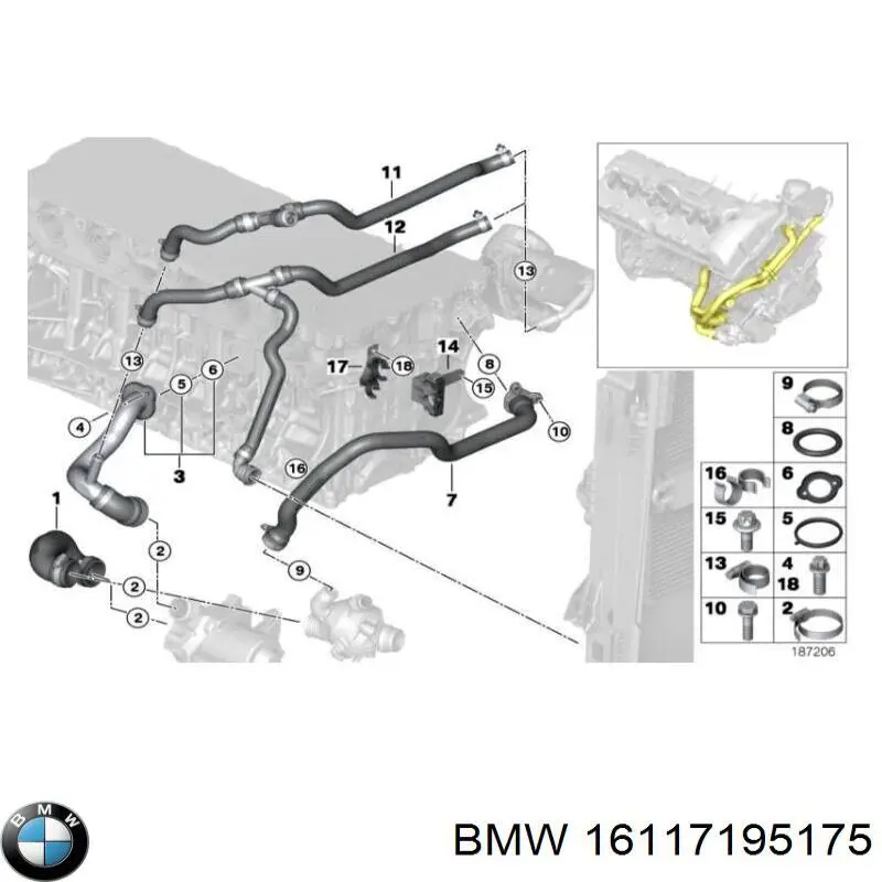 16117195175 BMW 