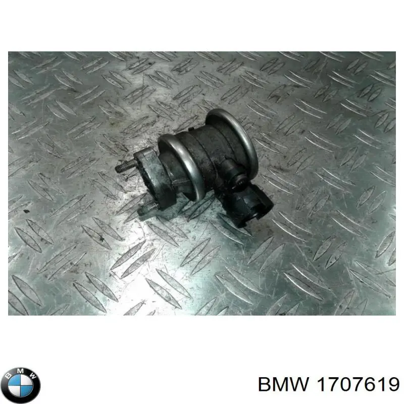 1707619 BMW клапан егр