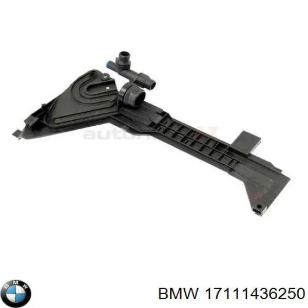 17111436250 BMW