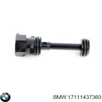 Клапан удаления воздуха системы охлаждения BMW 17111437360 цена, от 18.19 USD