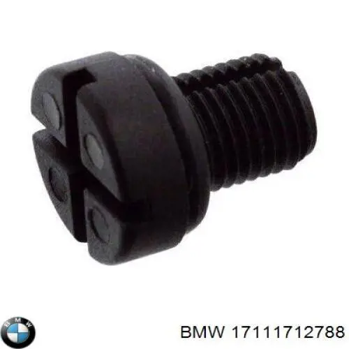 Válvula de purga de refrigerante 17111712788 BMW