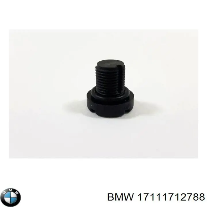 17111712788 BMW Клапан удаления воздуха системы охлаждения