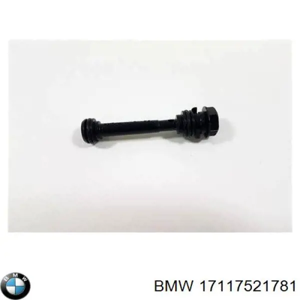 17117521781 BMW