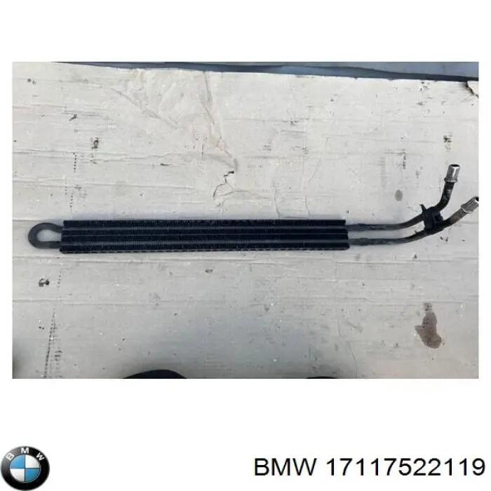  17117522119 BMW