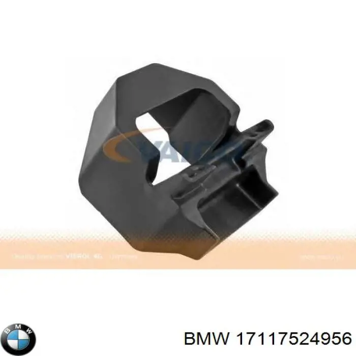  17117524956 BMW