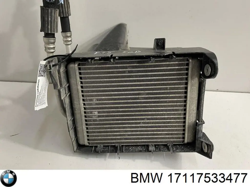 17117533477 BMW