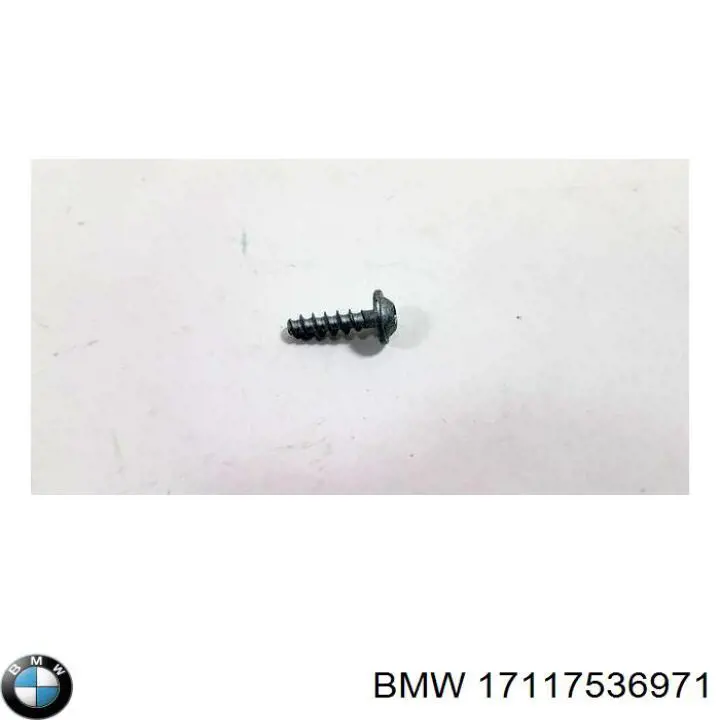  17117536971 BMW