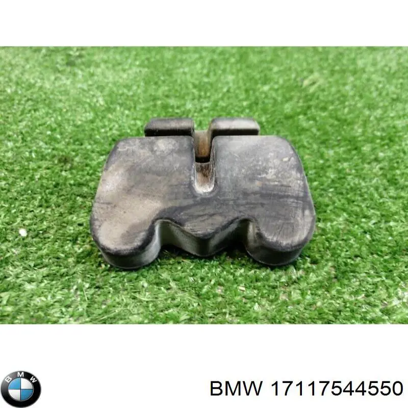 17117544550 BMW