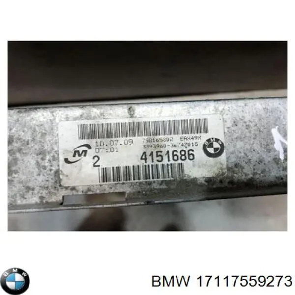 17117559273 BMW Радиатор основной