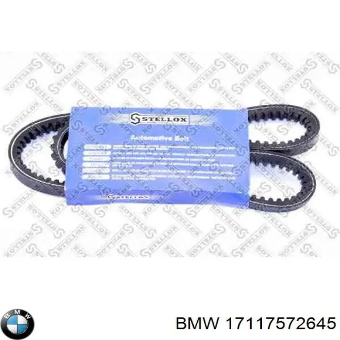 17117572645 BMW 
