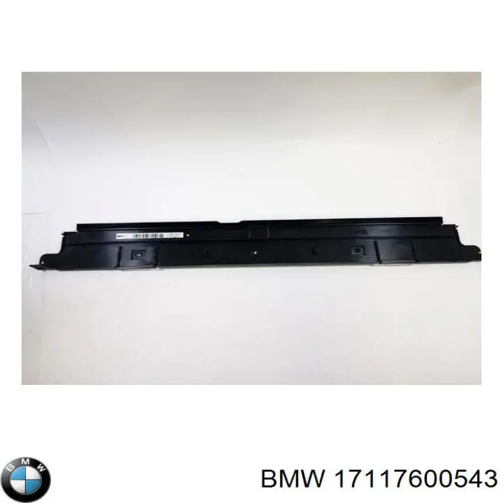 17117600543 BMW