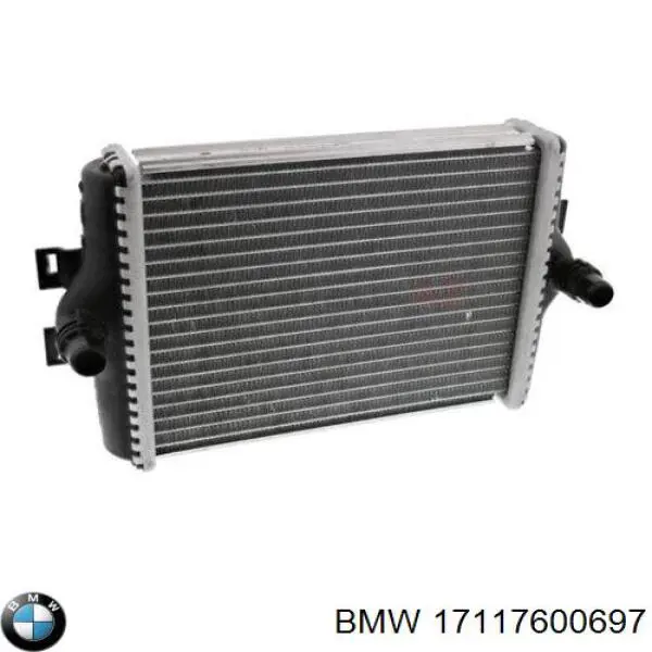 17117600697 BMW 