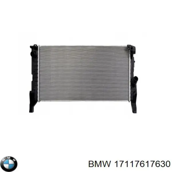  17117617630 BMW