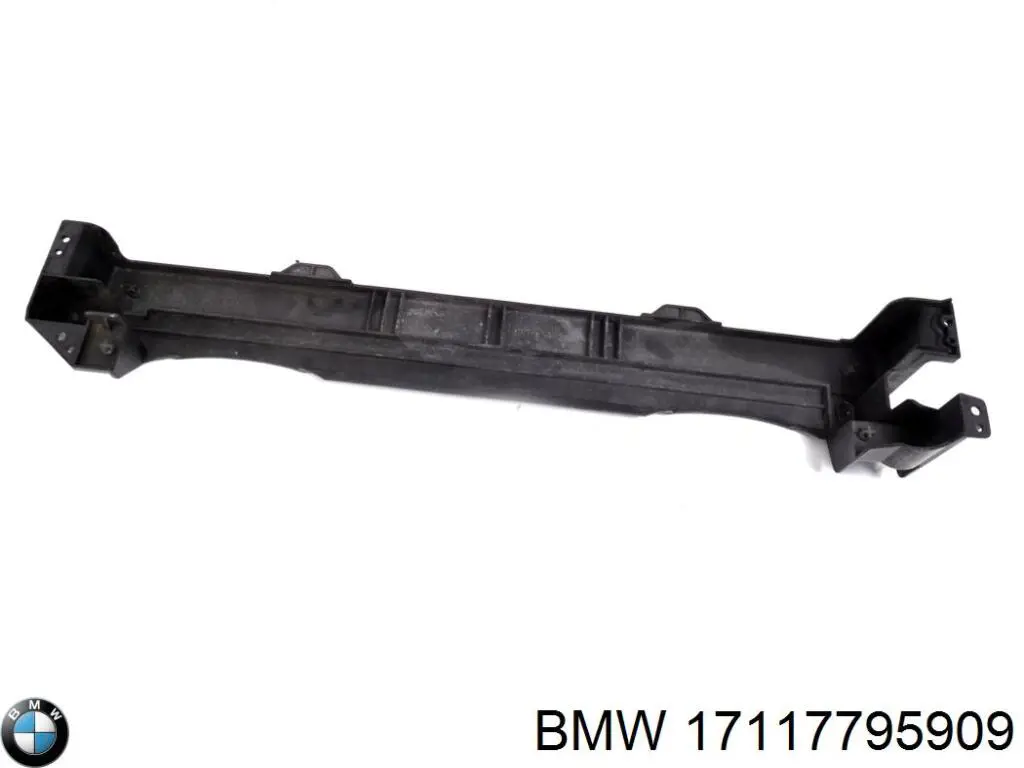 17117795909 BMW