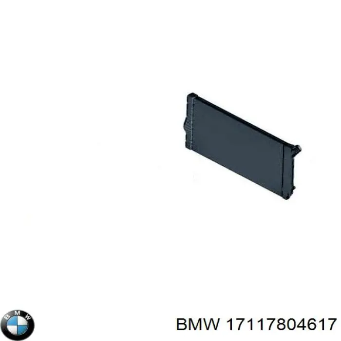 Suporte do radiador montado (painel de montagem de fixação das luzes) para BMW 5  F10