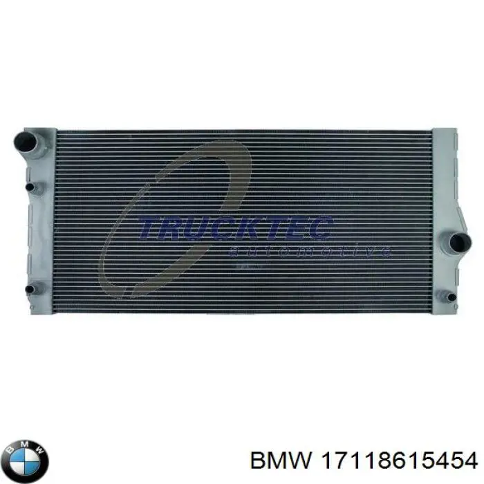 17118615454 BMW 