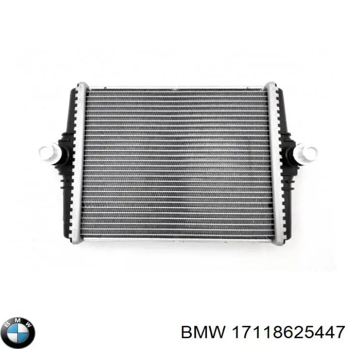 17118625447 BMW 