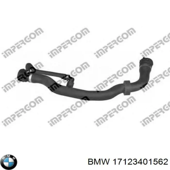 17123401562 BMW mangueira (cano derivado do radiador de esfriamento superior)