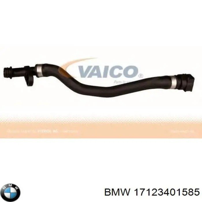 17123401585 BMW 