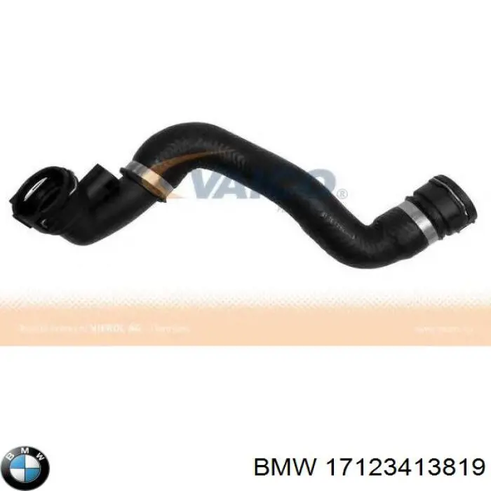 17123413819 BMW mangueira (cano derivado inferior do radiador de esfriamento)