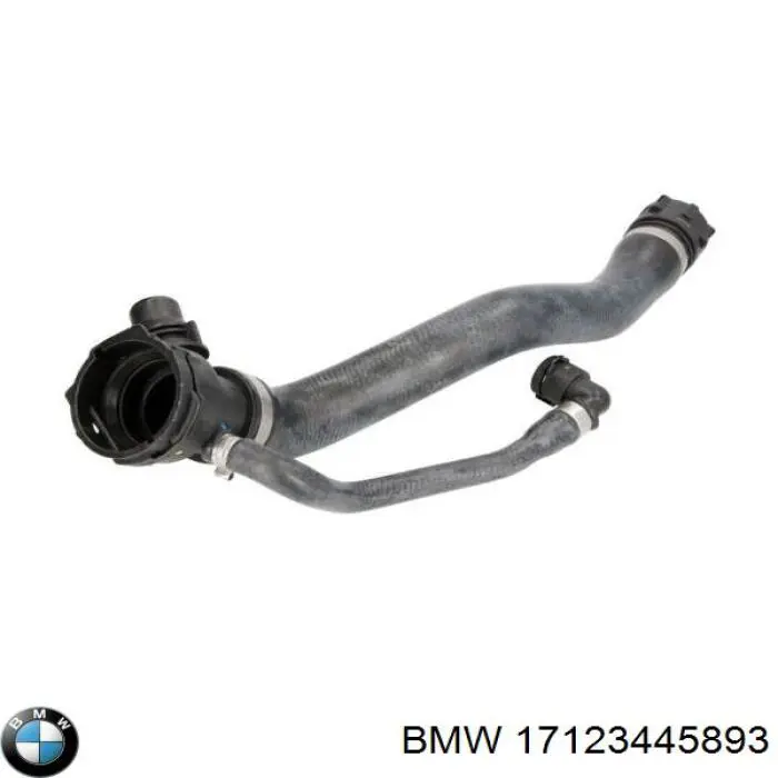 17123445893 BMW 