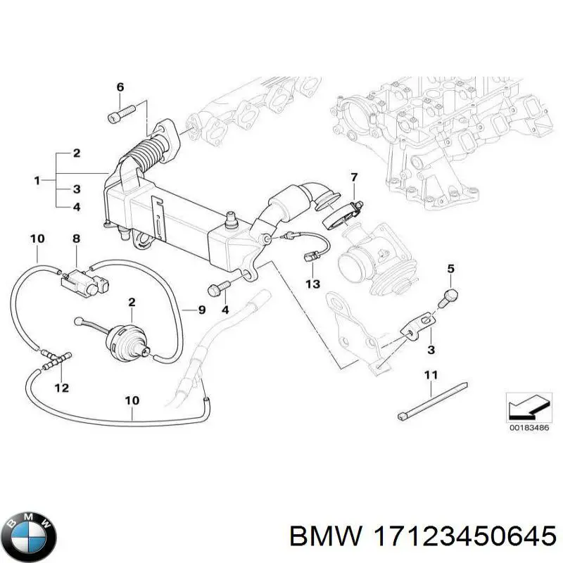 17123450645 BMW 