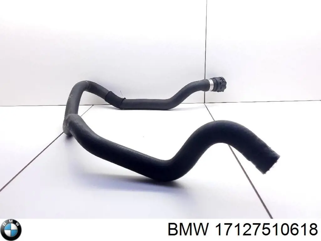 17127510618 BMW 