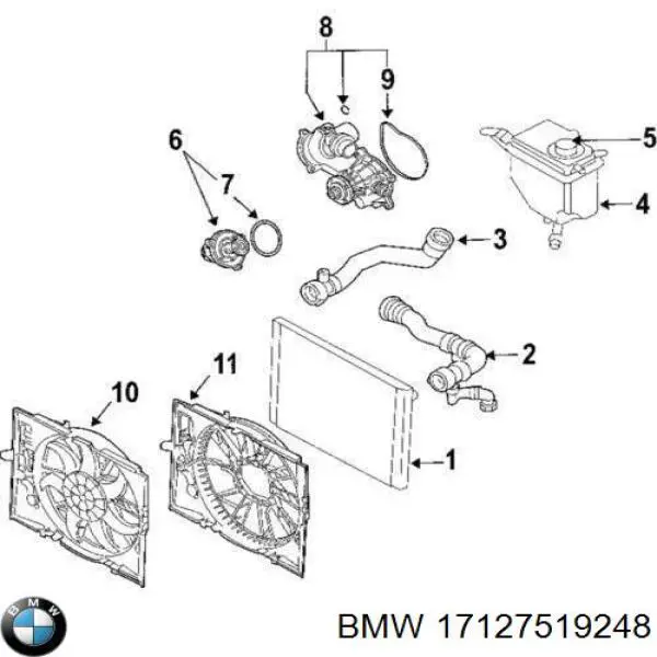 Купить 17127519248 BMW Патрубок радиатора