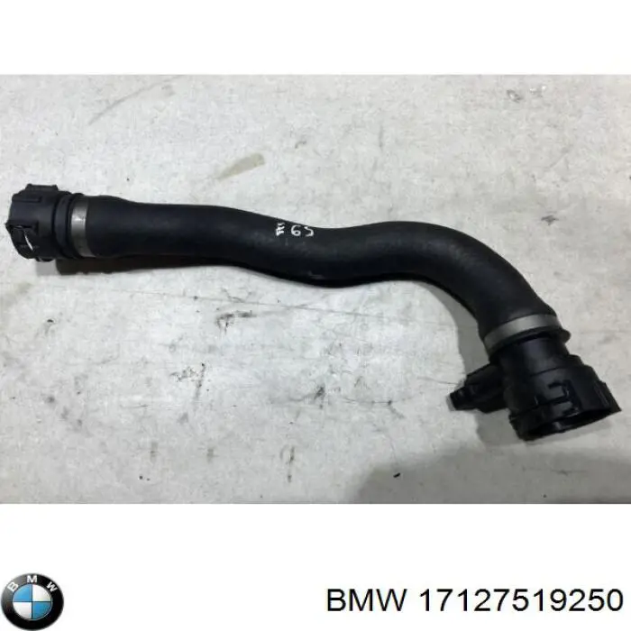 17127519250 BMW шланг (патрубок радиатора охлаждения нижний)