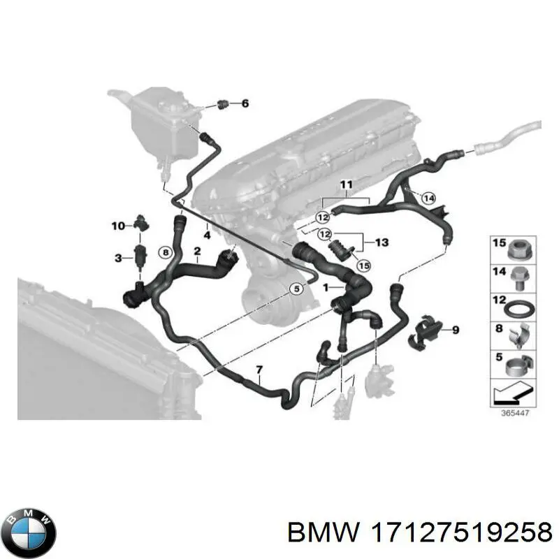 17127519258 BMW mangueira inferior do tanque de expansão