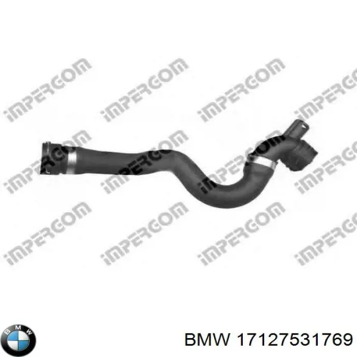 17127531769 BMW