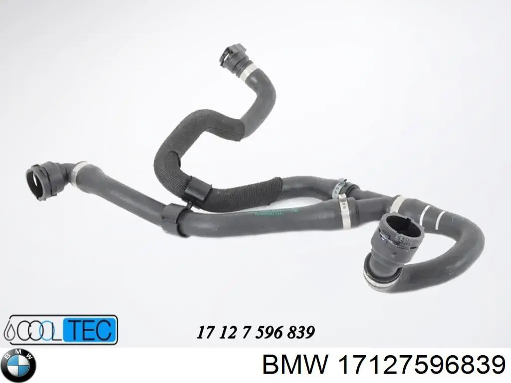 Купить DWB183TT Thermotec Шланг радиатора охлаждения нижний