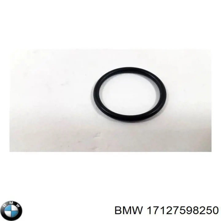 Купить 17127598250 BMW 